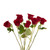 Roses Red 50Cm