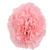 Carnation (+colors)