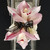 Pink Orchid Corsage