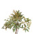 Eucalyptus Seeded