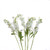 Stock White
