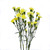 Carnation Mini Yellow