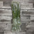 Baby's Breath Box 48 Stems