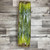Solidaster Box 180 Stems