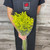 Solidaster Box 180 Stems