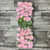 Hydrangea Pink Box 40 Stems
