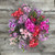Solomio Assorted Box 200 Stems