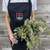 Eucalyptus Seeded Box 25 Bunches