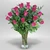 2 Dz Roses (+colors)