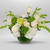 CLASSIC CREAM GARDEN