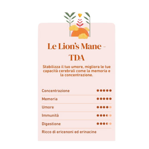 Complément Alimentaire French Mush Lion's Mane 56 Gélules - Humeur Mémoire Concentration