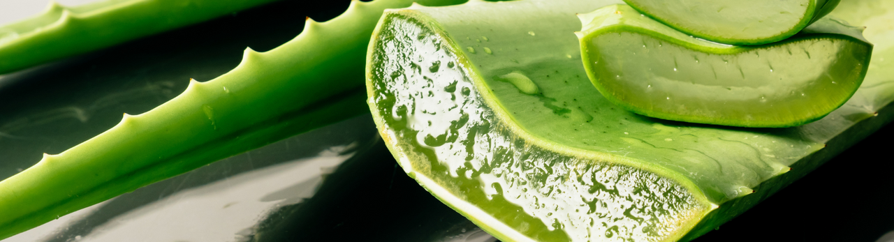 Capacità curative del succo di Aloe Vera: La parola alla scienza  Capacità curative del succo di Aloe Vera: La parola alla scienza