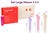 Vagiwell - Dilatatori Vaginali Set Large Confezione 3 Pezzi + Beauty Case In Cotone e Gel Lubrificante Gel Animé 50 Ml Vagiwell - Dilatatori Vaginali Set Large Confezione 3 Pezzi + Beauty Case In Cotone e Gel Lubrificante Gel Animé 50 Ml