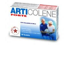Canina Mesoflex Forte 60 Tabletten – Gelenknahrung Für Hunde Bei Arthrose