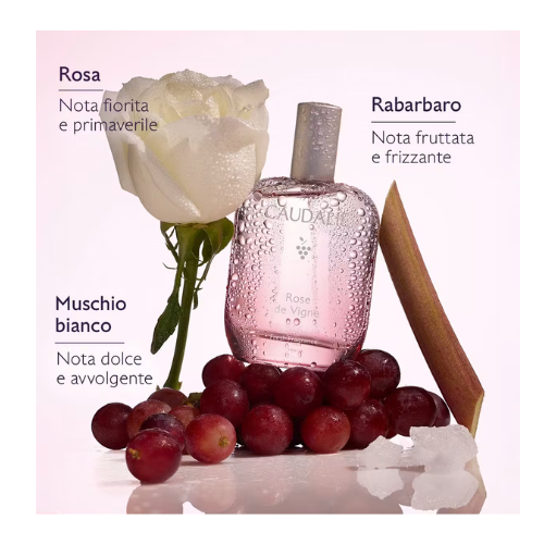 Caudalie - Rose De Vignes Acqua Profumata Confezione 50 Ml