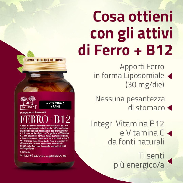 Salugea - Ferro + B12 Integratore Ferro e Vitamina B12 Confezione 60 Capsule