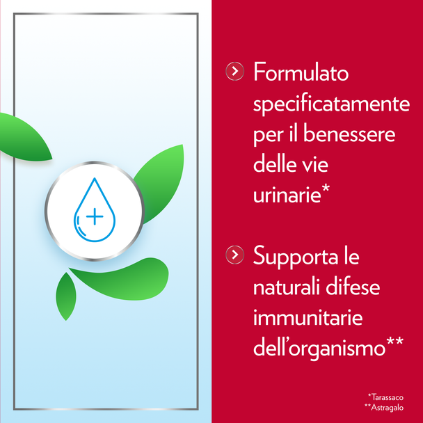 Gyno-Canes - Cystil CistiPro Integratore con D-Mannosio Per Benessere Urinario Confezione 14 Bustine