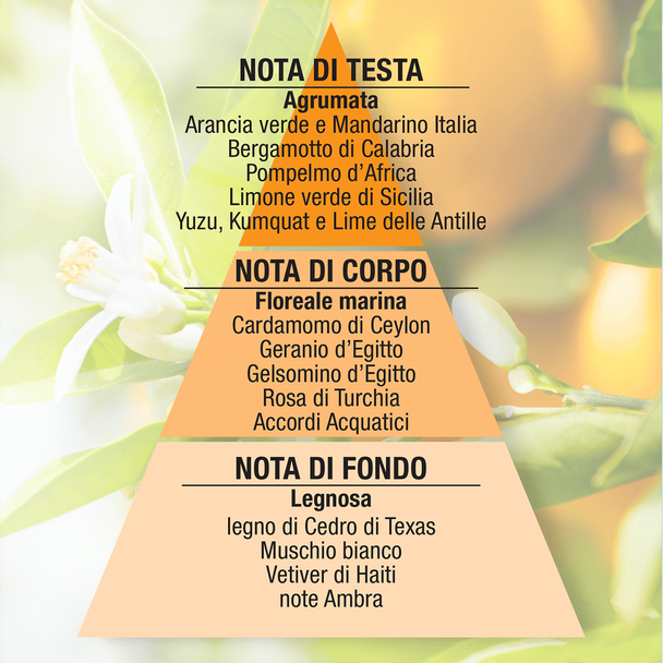 Helan - Agrumèe Eau de Parfum Profumo 10 Ml