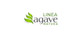 Agave