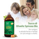 Salugea - Succo Di Olivello Spinoso Biologico 100% Puro Flacone in Vetro Scuro Confezione 500 Ml