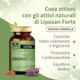 Salugea - Liposan Forte Nuova Formula Colesterolo e Trigliceridi Confezione 60 capsule