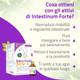 Salugea - Intestinum Forte Integratore Per l’Intestino Confezione 18 Flaconcini (Scadenza Prodotto 28/11/2025)