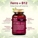 Salugea - Ferro + B12 Integratore Ferro e Vitamina B12 Confezione 60 Capsule (Scadenza Prodotto 28/07/2026)