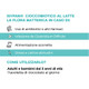 Isypan - Cioccobiotico Fermenti Lattici al Cioccolato al Latte Confezione 8 Barrette