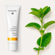 Dr. Hauschka - Crema Giorno Melissa Pelle Mista e Oleosa Confezione 30 Ml (Scadenza Prodotto 28/10/2026)