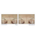 Roc - Derm Correxion Crema Viso Effetto Filler Confezione 15 Ml