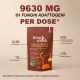 French Mush - Cacao Boost Bevanda Bio Cioccolato Energia E Concentrazione Confezione 60 Dosi