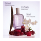 Caudalie - Ange Des Vignes Eau De Parfum Profumo Confezione 50 Ml