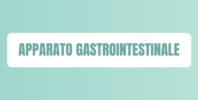 Rimedi e integratori per il benessere dell’apparato gastrointestinale