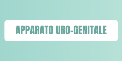 Prodotti e trattamenti per il benessere dell’apparato uro genitale