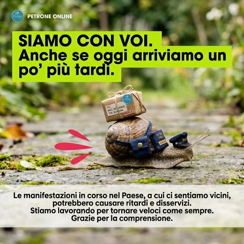 https://www.petroneonline.com/