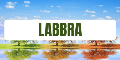Prodotti e balsami per labbra secche: idratazione, nutrimento e protezione dal freddo stagionale
