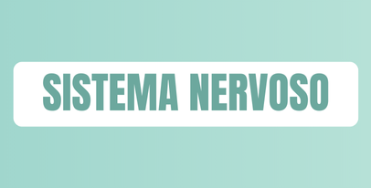 Integratori e rimedi per il benessere del sistema nervoso