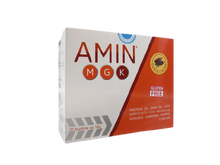 Amin Mg K Mgk - Gusto Cacao 21k Confezione 21 Bustine