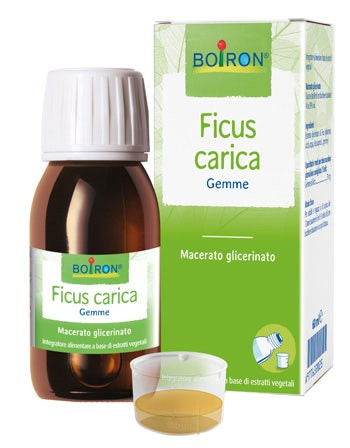 Boiron - Ficus Carica Confezione 60 Ml