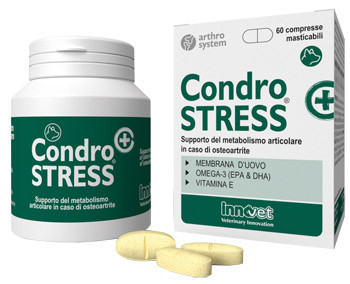 CONDROSTRESS +60CPR MASTIC img 2