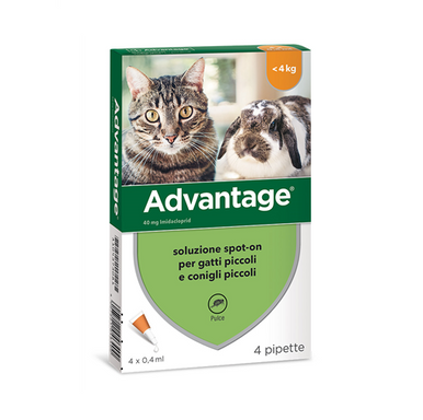 Advantage - Antiparassitario Soluzione Spot On Gatti e Conigli Confezione 4 Pipette