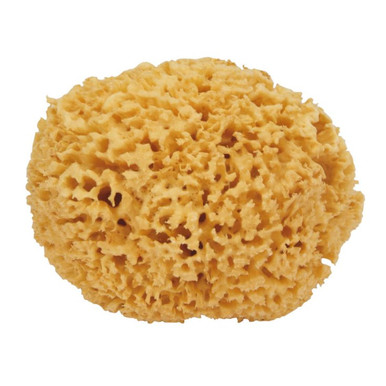 Safety - Spugna Naturale Grande Confezione 1 Pezzo