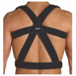 Gibaud - Ortho Sostegno Dorso Taglia 3 Circonferenza Torace Da 80 a 100 cm