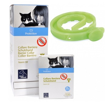 PROTECTION COLLARE BARRI GATTO img