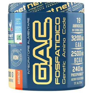 Moldes - Net G.A.C. Fosfatidico Gusto Arancia Integratore Post Allenamento Confezione 200 Gr