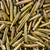 PPU .303 British Once-Fired Brass – Pack of 100