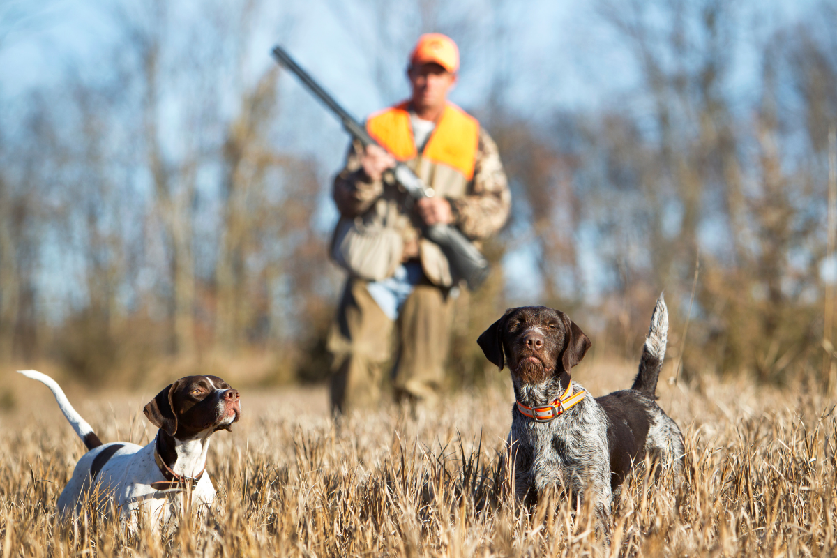 ​Our Commitment to Ethical Shooting and Responsible Ownership