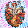 GRATEFUL DEAD | 30th Anniversary Spiral S/S Tie-Dye