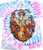 GRATEFUL DEAD | 30th Anniversary Spiral S/S Tie-Dye