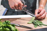 Ciseaux de cuisine